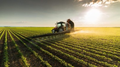 2025’te Tahıl, Sebze ve Meyve Üretiminde Büyük Düşüş Bekleniyor