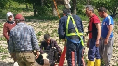 Mersin’de 10 metrelik su kuyusuna düşen danayı itfaiye kurtardı