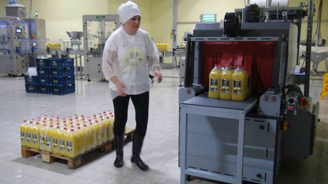 900 Ton Üretimle Dünya Pazarı Hedefleniyor