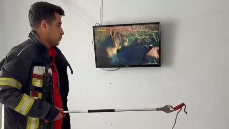 2 Gündür Evde Yaşayan Yılanı İtfaiye Erleri Buldu