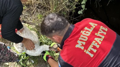 Su kuyusuna düşen ördek ve yavrularını itfaiye kurtardı