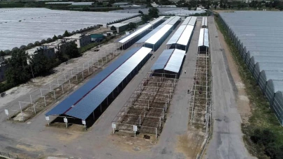 Başkan Kumbul: Kurban satış alanlarında konforlu bir ortam oluşturuyoruz