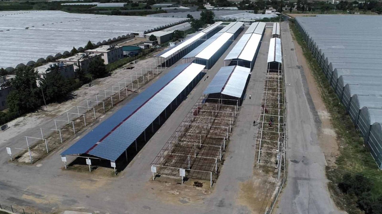 Başkan Kumbul: Kurban satış alanlarında konforlu bir ortam oluşturuyoruz