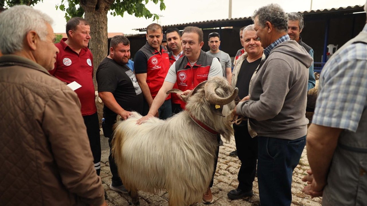 Kurban Bayramı öncesi hayvan pazarlarında denetim