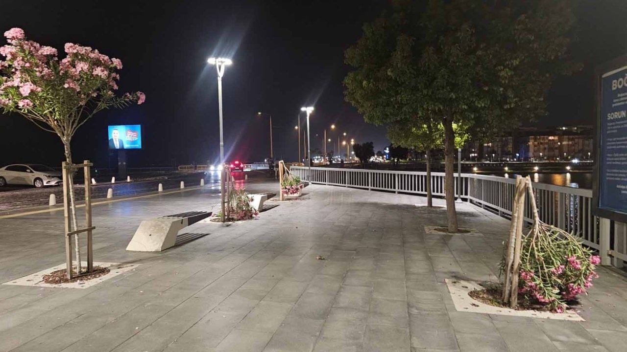 Vandallar sahildeki ağaçları kırdı