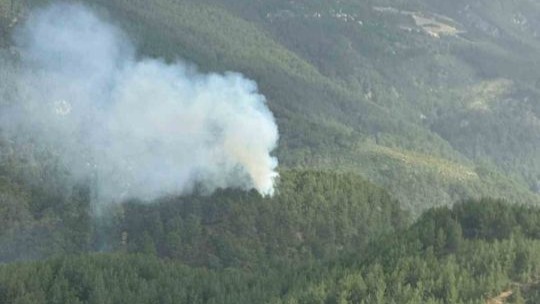 Kumluca’da orman yangını: 1 hektarlık alan zarar gördü