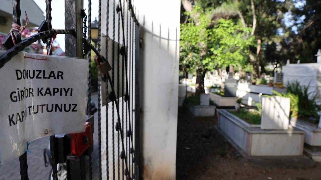 Artık mezarlarada dadandılar, Vatandaş çileden çıktı!