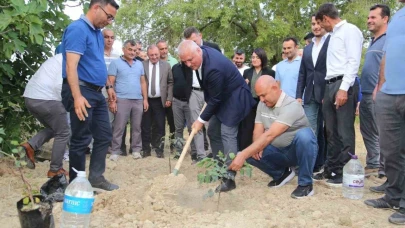 ALTSO keçiboynuzunun tescilini aldı, 3 bin fidan dağıttı