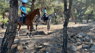 1 Haziran - 1 Kasım tarihleri arasında ormanlık alanlara girişler yasaklandı