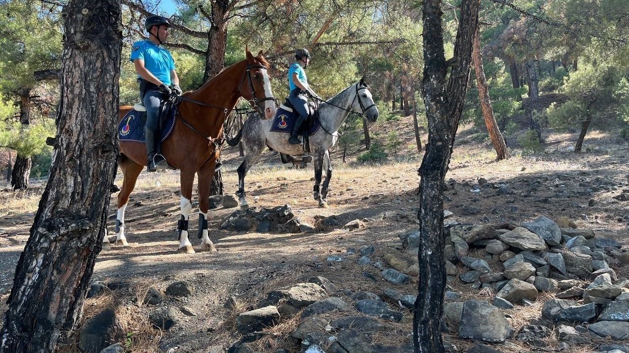 1 Haziran - 1 Kasım tarihleri arasında ormanlık alanlara girişler yasaklandı