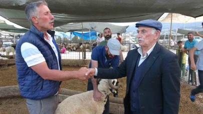 Bayram yaklaştı, kurban pazarında kıran kırana pazarlık başladı