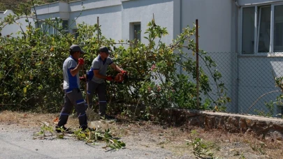Bodrum'da ot ve budama temizliğinin bu defaki adresi Akyarlar Mahallesi oldu