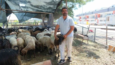 Kemer Belediyesi’nde kurban satış alanlarında denetim