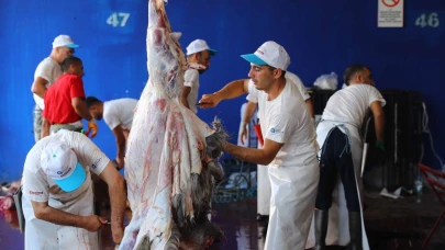 Büyükşehir Belediyesi Kurban Bayramına hazır