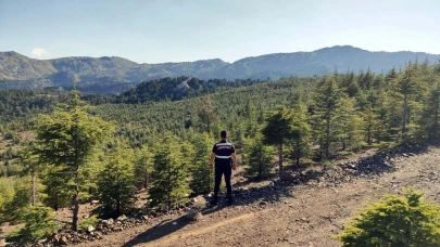 Muğla'da ormanlara girişler yasaklandı