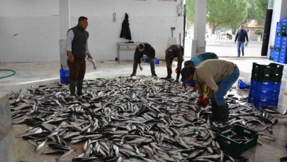 Muğla Mayıs ayında ihracatını yüzde 11 arttırdı
