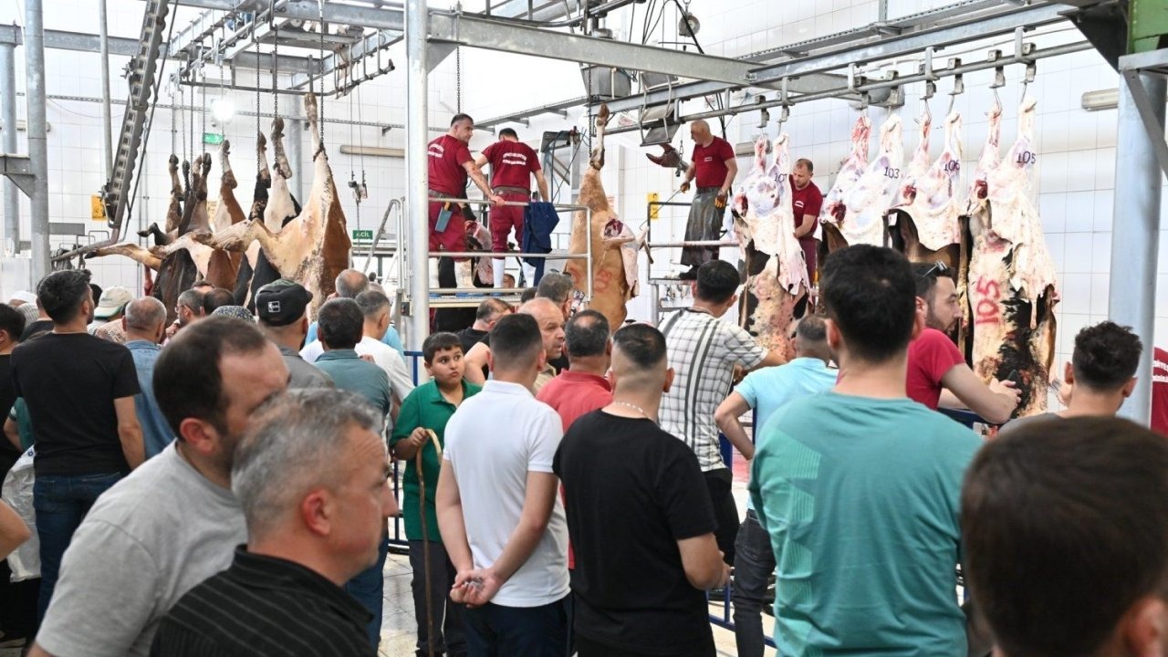 Mezbahada 250 büyükbaş kurban kesimi gerçekleştirildi
