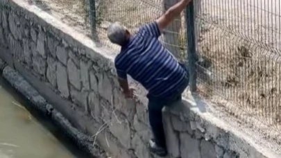 Finike’de kaçan kurbanlık dereye atladı