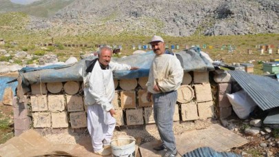 Antalya’da arıcılar kara kovanlarını yüksek kesimlerdeki yaylalara çıkardı