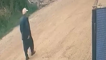 Yayla yolunda kayboldu, gece boyunca devam eden aramalar sürüyor