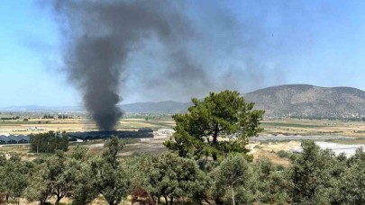 Milas’ta Balık Üretim Tesisi’nde yangın paniği