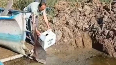 Isparta’da yaralı bulunan bahri kuşu tedavisinin ardından doğaya salındı