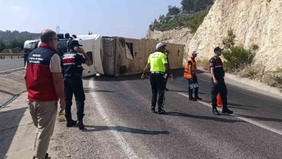 Angus yüklü tır devrildi, kaçan hayvanlar yakalandı