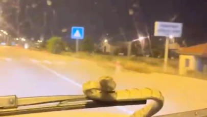 Otomobile giren yılan, seyir halinde ön cama çıktı