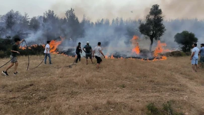 Muğla'da yılın ilk 6 ayında 380 anız yangınına müdahale edildi