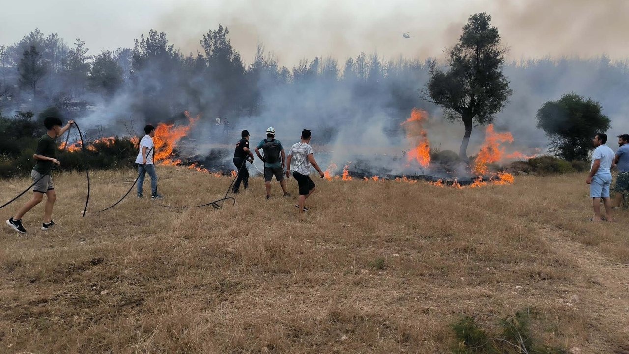 Muğla'da yılın ilk 6 ayında 380 anız yangınına müdahale edildi
