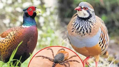 Antalya'ya uyarı yapıldı! Sakın doğada bu hatayı yapmayın