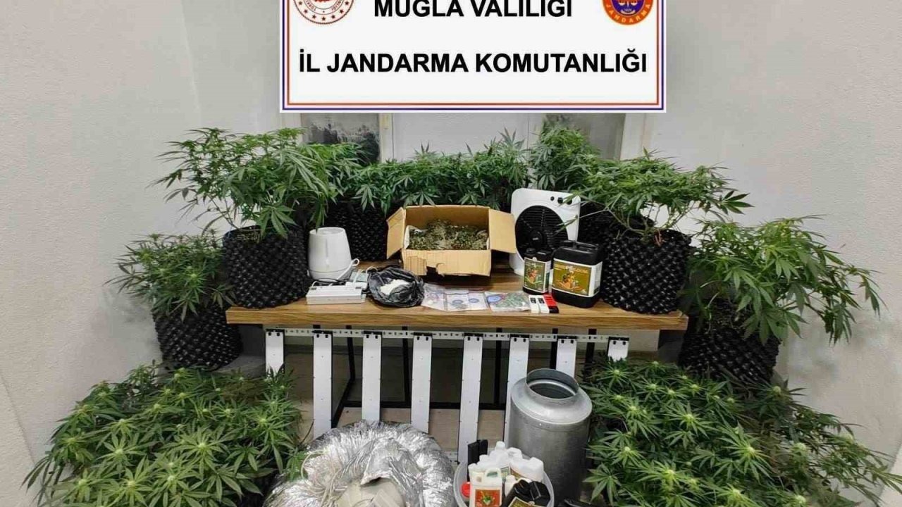Bodrum’da uyuşturucu baskını: 2 gözaltı