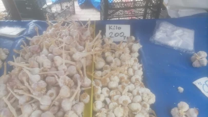 Sarımsakta alınamaz hale geldi