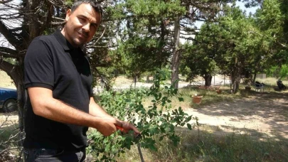 Ölmeden ölüm ilanı verildi, duyunca şok oldu