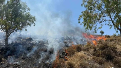 Bodrum Türkbükü’nde makilik yangını