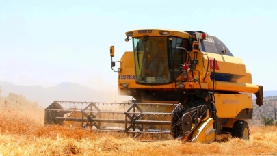 Bodrum'da üç ton buğday hasadı