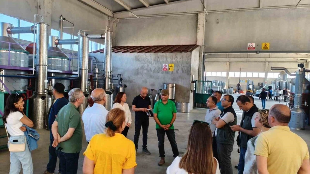 FAO ve BAKA tıbbi ve aromatik bitkiler alanında iş birliği imkanlarını görüştü