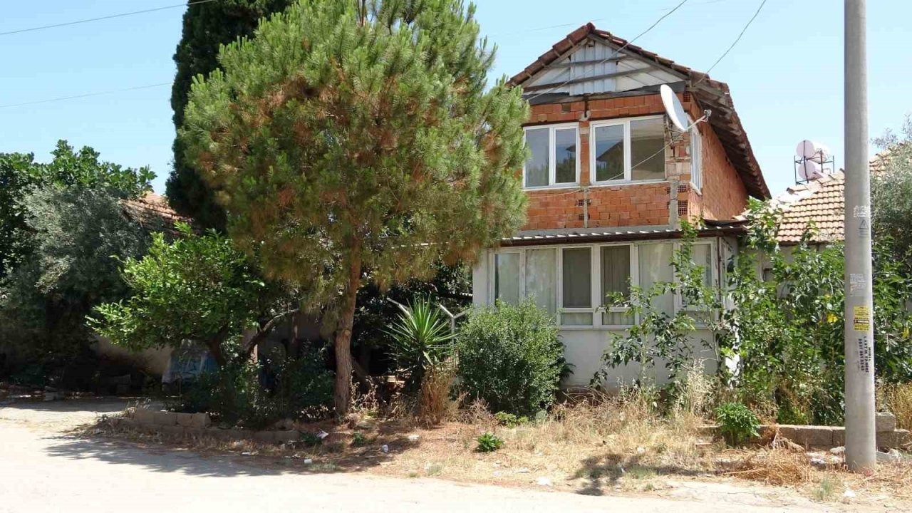 Kötü kokuların yayıldığı evden onlarca hayan kurtarıldı