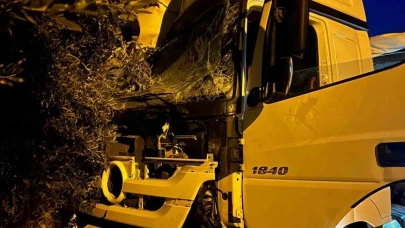 Tır sürücüsü uyudu, ortalık savaş alanına döndü: Önce üste geçide ardından da ağaç ile 2 araca çarptı