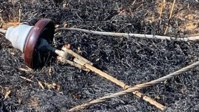 Yüksek gerilim hattı koptu, buğday tarlası alev aldı