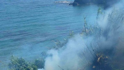 Çalılık alandaki yangında 1 dönümlük alan zarar gördü