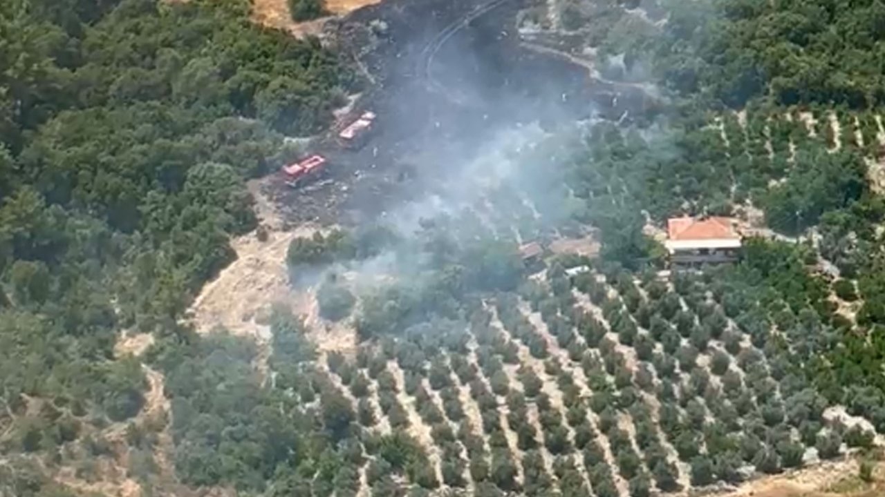 Antalya'da arazi yangını; ormana sıçramaması için yoğun müdahale