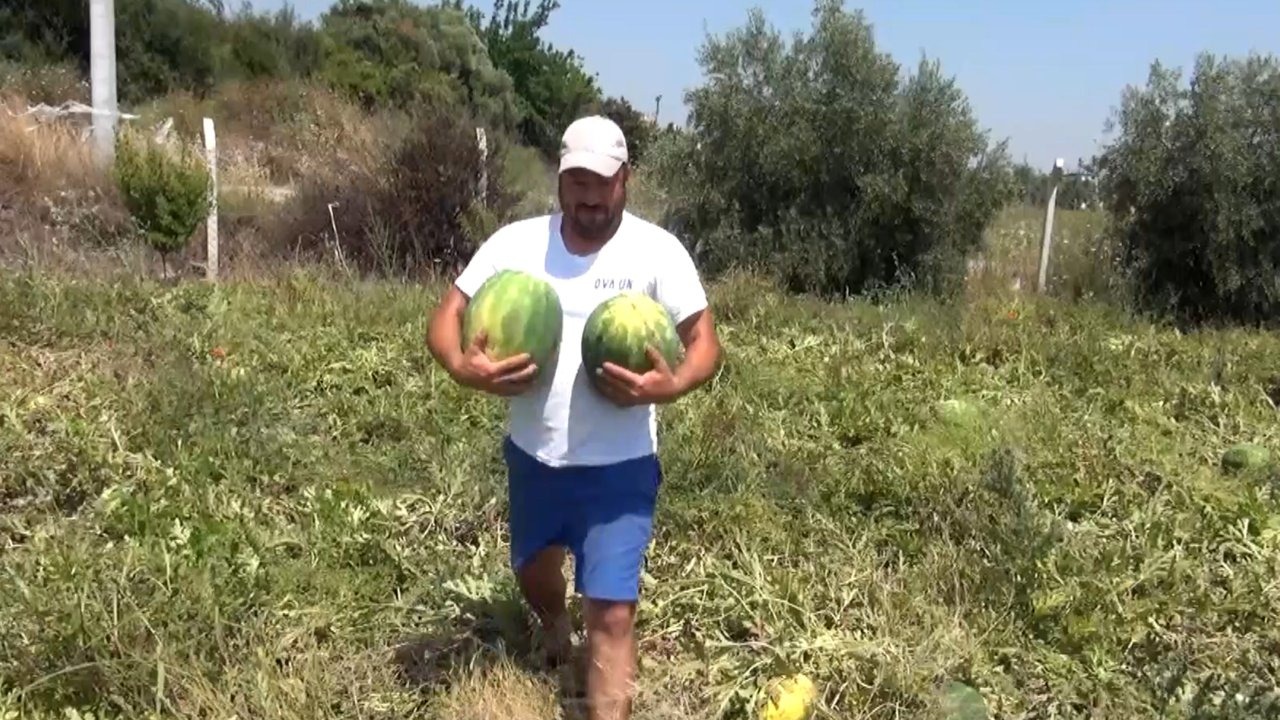 Hayır için bütün tarlasını dağıttı