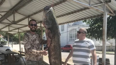Meriç Nehri'nde 80 kilo ağırlığında yayın balığı yakaladı