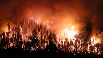 Mangal Yakma Alışkanlığı Ormanları Tehdit Ediyor!