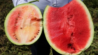 CHP’li Kaya, Tarım Ve Orman Bakanı’na Çağrıda Bulundu!