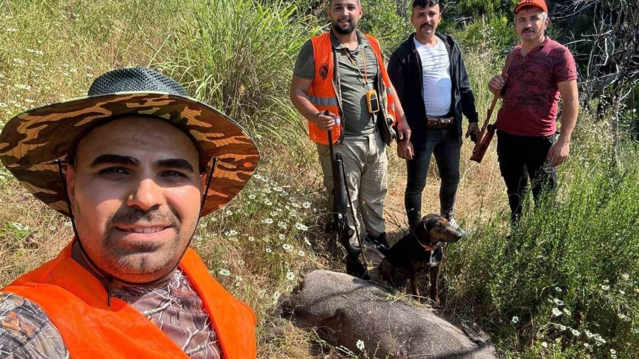 Gündoğmuş’ta domuz sürek avı düzenlendi