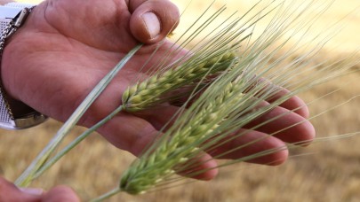 Nuri Büyükselçuk: "Sanayici Zor Durumda"