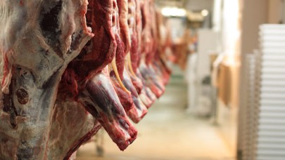 ATB Meclis Üyesi Ata Sönmez: “Kurban Sonrası Beklenen Hareketlilik Olmadı”