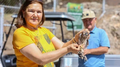 Doğal Yaşam Parkı'ndan özgürlüğe uçtular